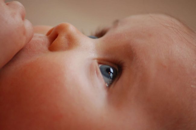 Close-up of baby's face