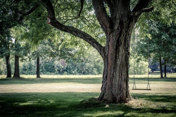 park swing