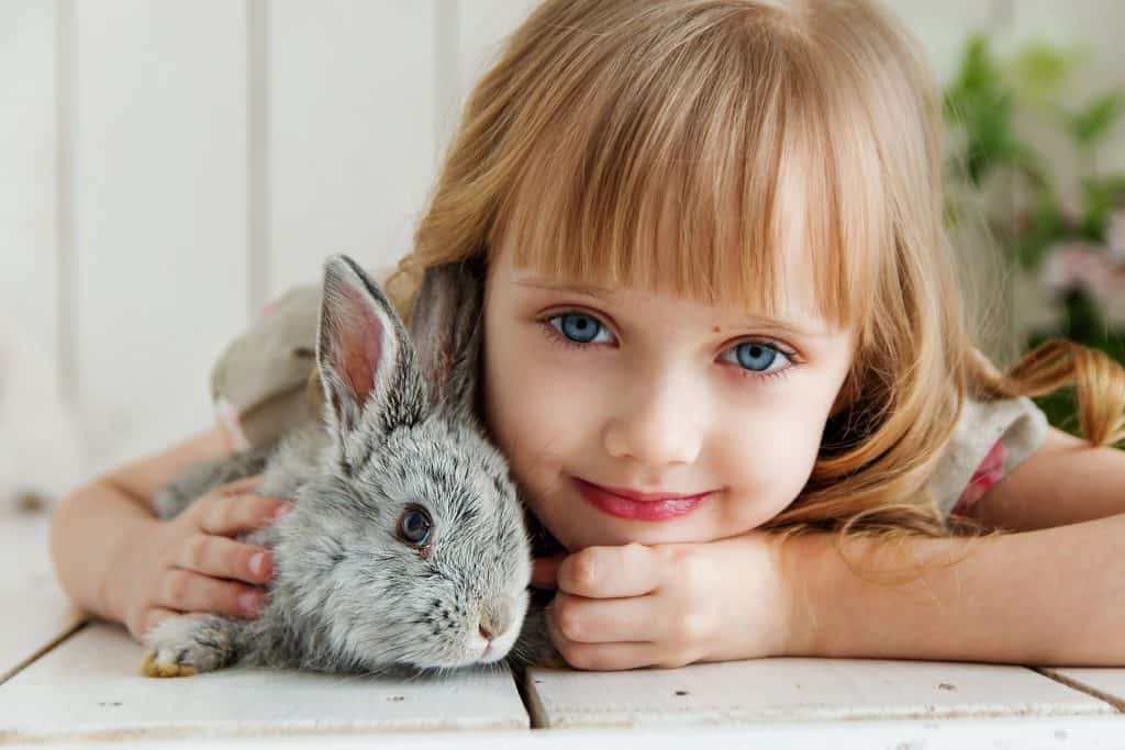 Girl with rabbit