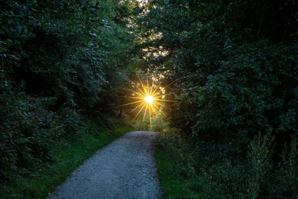 Sunlight on path