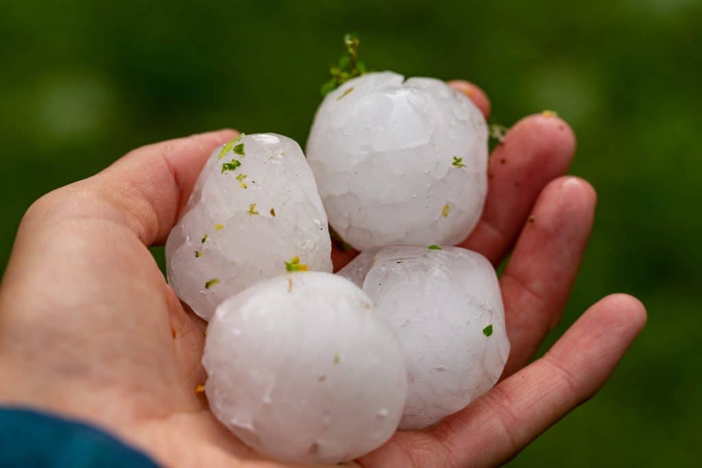 huge hailstones