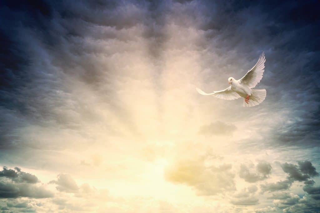 Holy Spirit dove