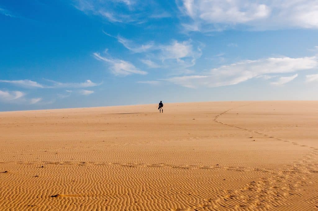 alone in the desert